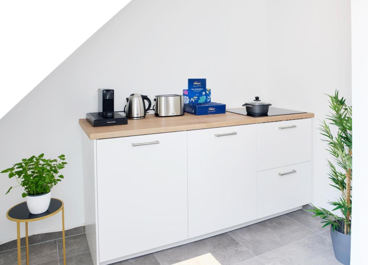 Schlossberg Residences - Xxl-Design-Apartment Mit Schlossblick Fuer Bis Zu 12 Personen Schwetzingen Exteriér fotografie