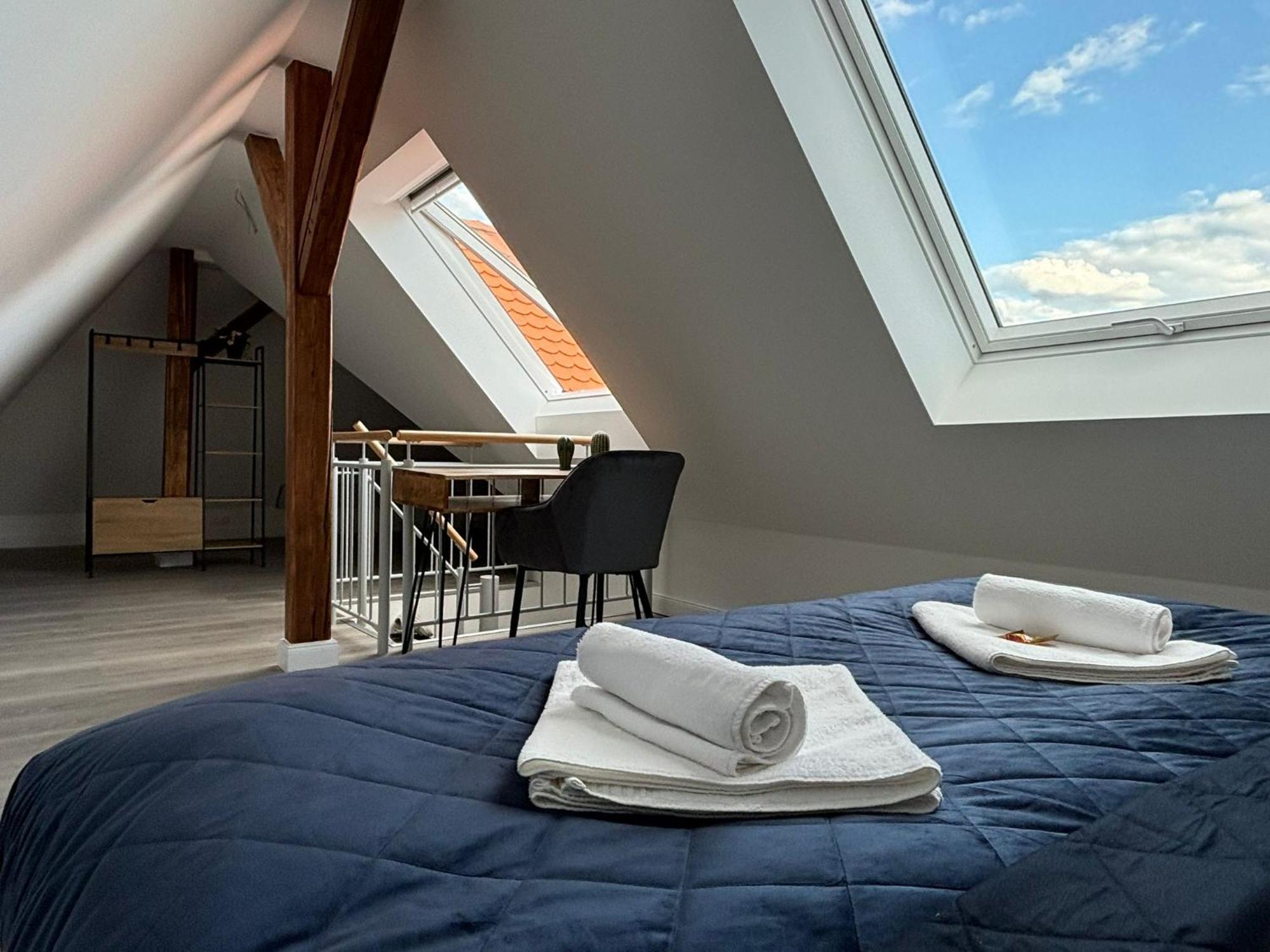 Schlossberg Residences - Xxl-Design-Apartment Mit Schlossblick Fuer Bis Zu 12 Personen Schwetzingen Exteriér fotografie